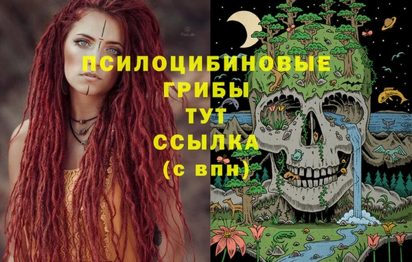 ГАЛЛЮЦИНОГЕННЫЕ ГРИБЫ Абдулино